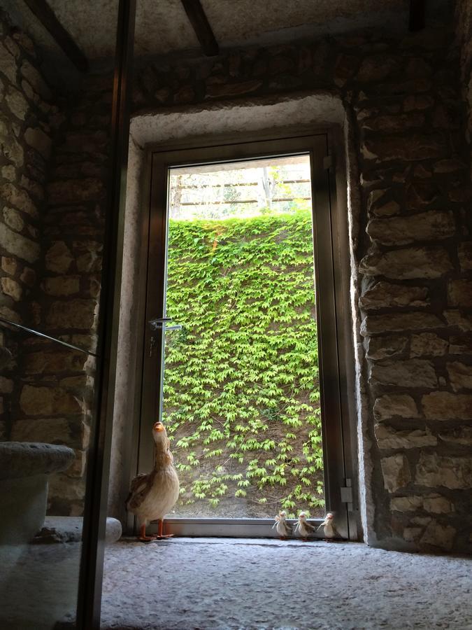 Dormire Alla Ruota Negrar Bagian luar foto